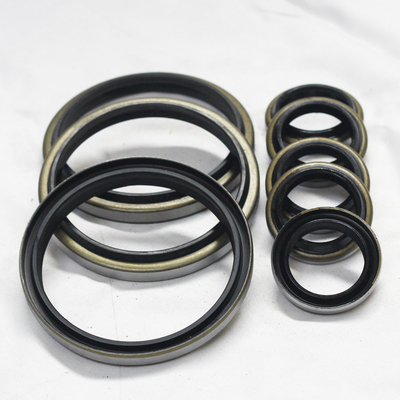 Sello de aceite DKB para camión de descarga del motor de medio eje PTFE distribuidor de sello de pistón hidráulico